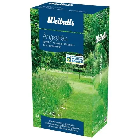 Expressleverans Weibulls 838910 Ängsgräs